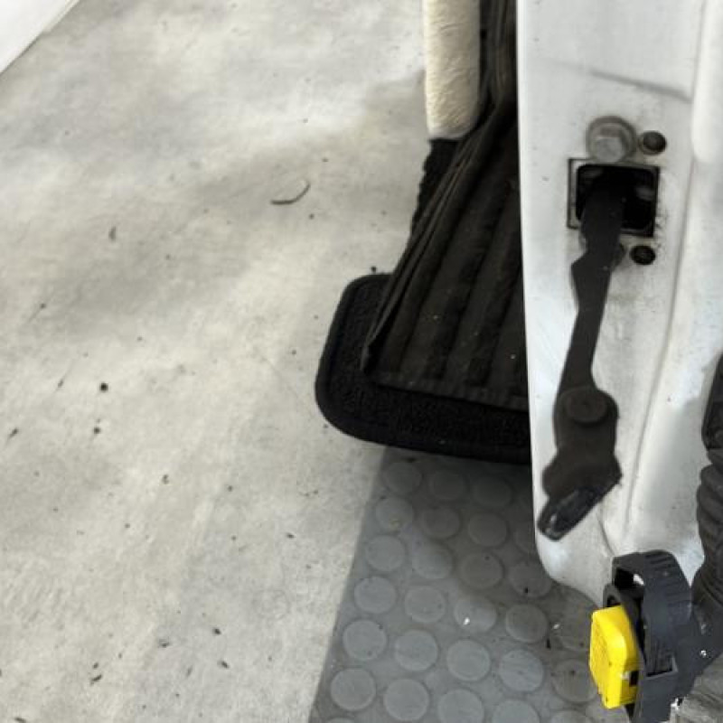 Porte avant gauche RENAULT TWINGO 2 Photo n°3