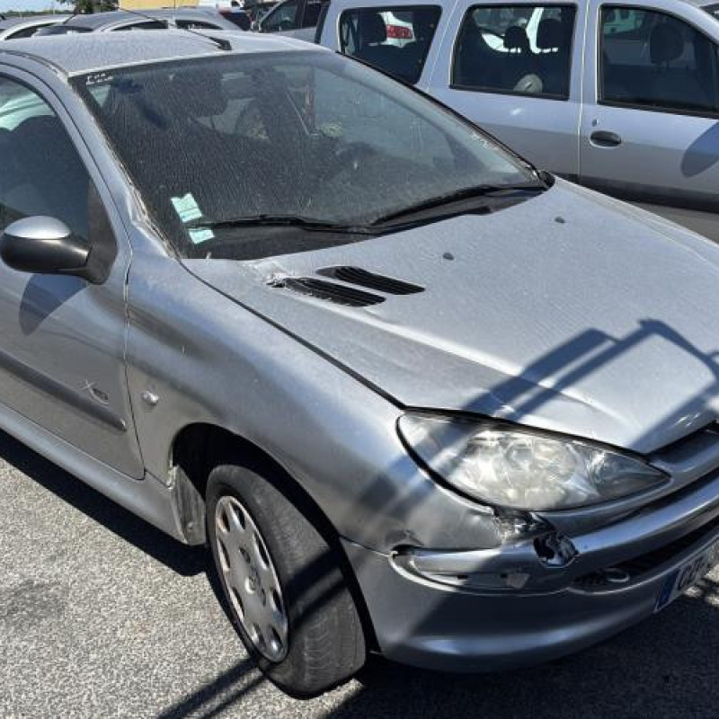 Porte avant droit PEUGEOT 206 Photo n°8