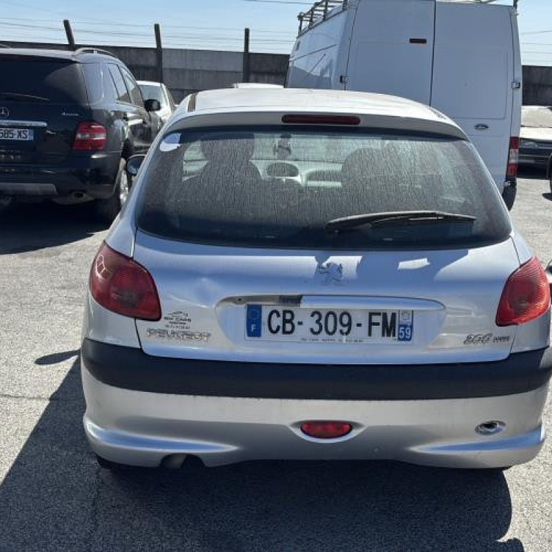 Porte avant droit PEUGEOT 206 Photo n°11
