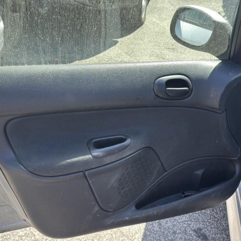 Porte avant droit PEUGEOT 206 Photo n°15