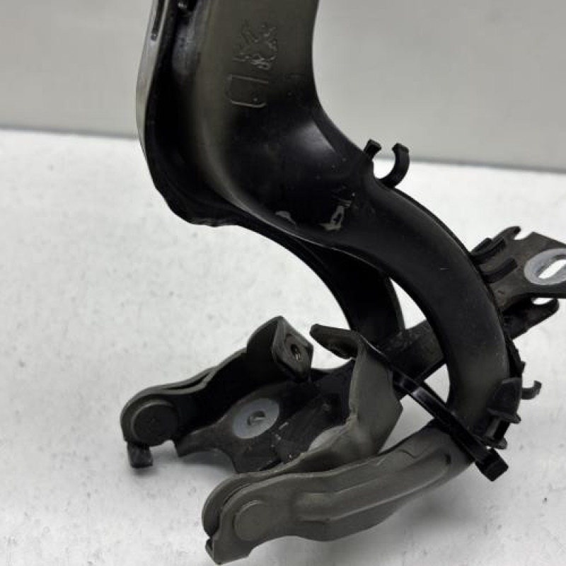 Charniere de capot PEUGEOT 208 1 Photo n°5