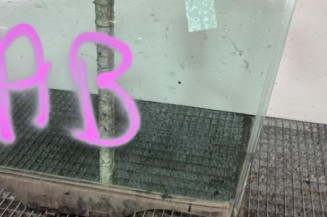 Vitre avant gauche NISSAN PATHFINDER 2