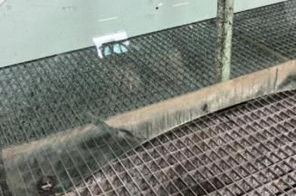 Vitre avant gauche RENAULT CLIO 3