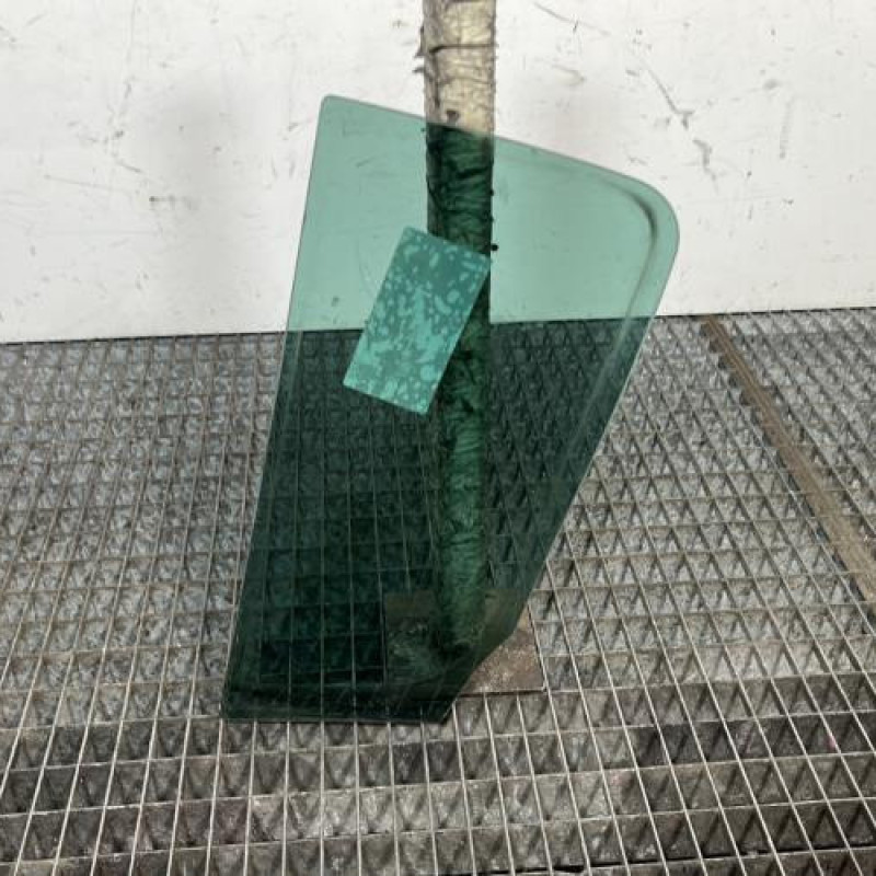 Custode arriere droit (porte) RENAULT CLIO 3 Photo n°4