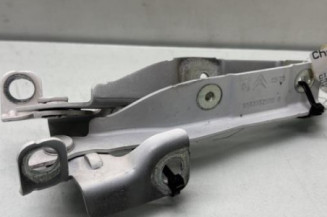 Charniere de capot CITROEN C3 2 Photo n°1