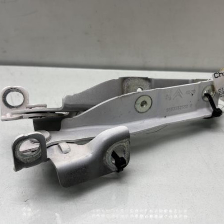 Charniere de capot CITROEN C3 2 Photo n°1