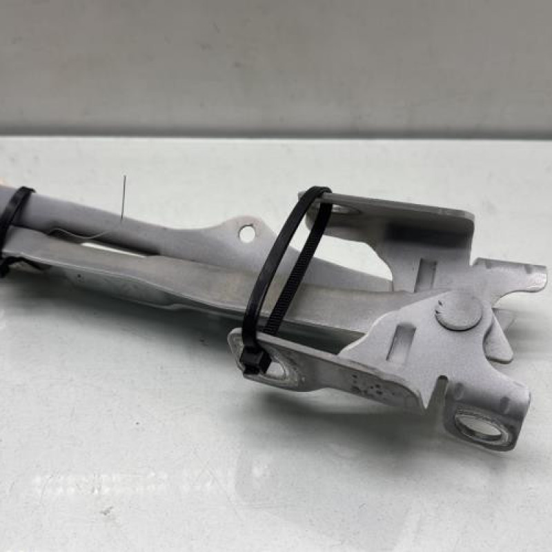 Charniere de capot CITROEN C3 2 Photo n°4