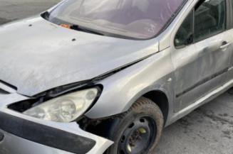 Custode avant gauche (porte) PEUGEOT 307