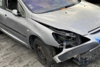Custode avant gauche (porte) PEUGEOT 307