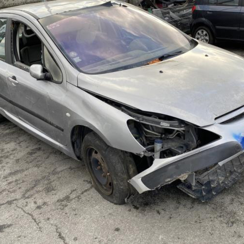 Custode avant gauche (porte) PEUGEOT 307 Photo n°6