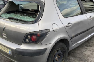 Custode avant gauche (porte) PEUGEOT 307