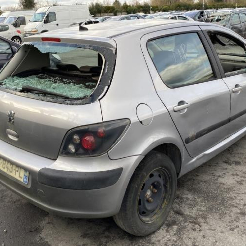 Custode avant gauche (porte) PEUGEOT 307 Photo n°7