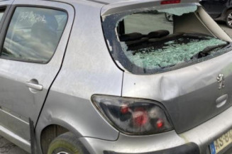 Custode avant gauche (porte) PEUGEOT 307