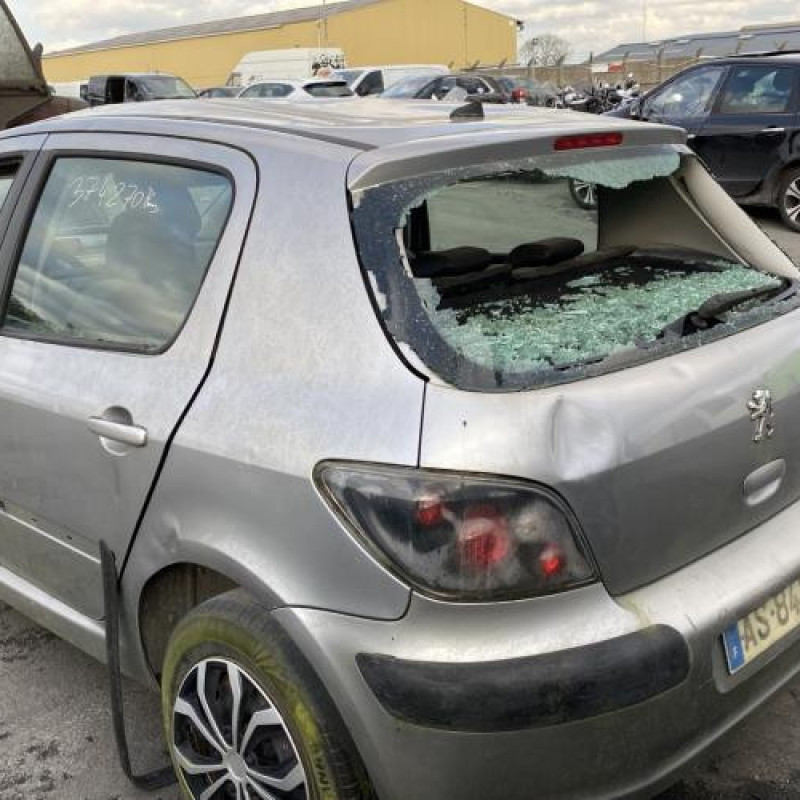 Custode avant gauche (porte) PEUGEOT 307 Photo n°8