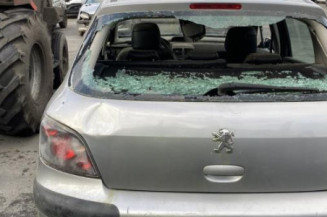 Custode avant gauche (porte) PEUGEOT 307