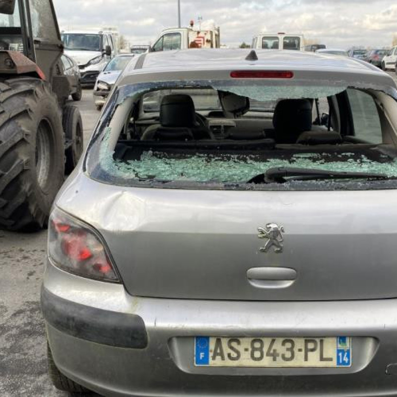 Custode avant gauche (porte) PEUGEOT 307 Photo n°9