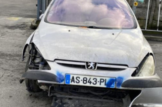 Custode avant gauche (porte) PEUGEOT 307
