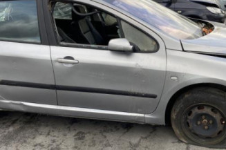 Custode avant gauche (porte) PEUGEOT 307