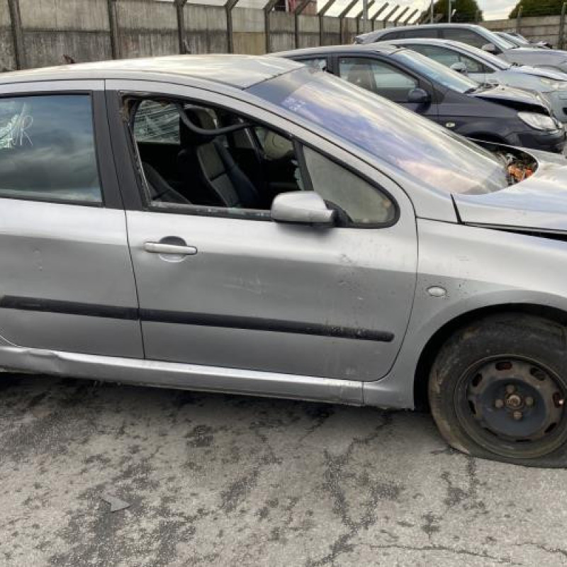 Custode avant gauche (porte) PEUGEOT 307 Photo n°12