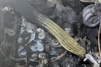 Ceinture avant gauche DACIA SANDERO 2