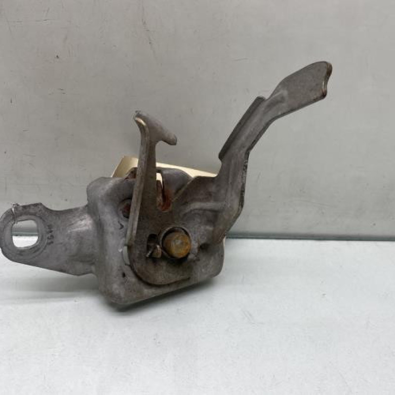 Fermeture de capot DACIA DUSTER 1 Photo n°3