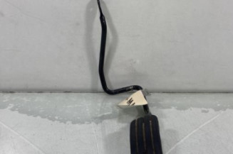 Pedale d'accelerateur RENAULT KANGOO 1 Photo n°1