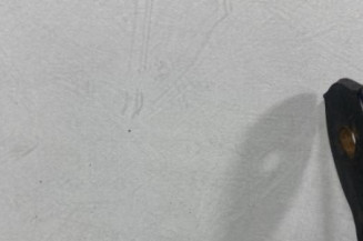 Pedale d'accelerateur RENAULT KANGOO 1