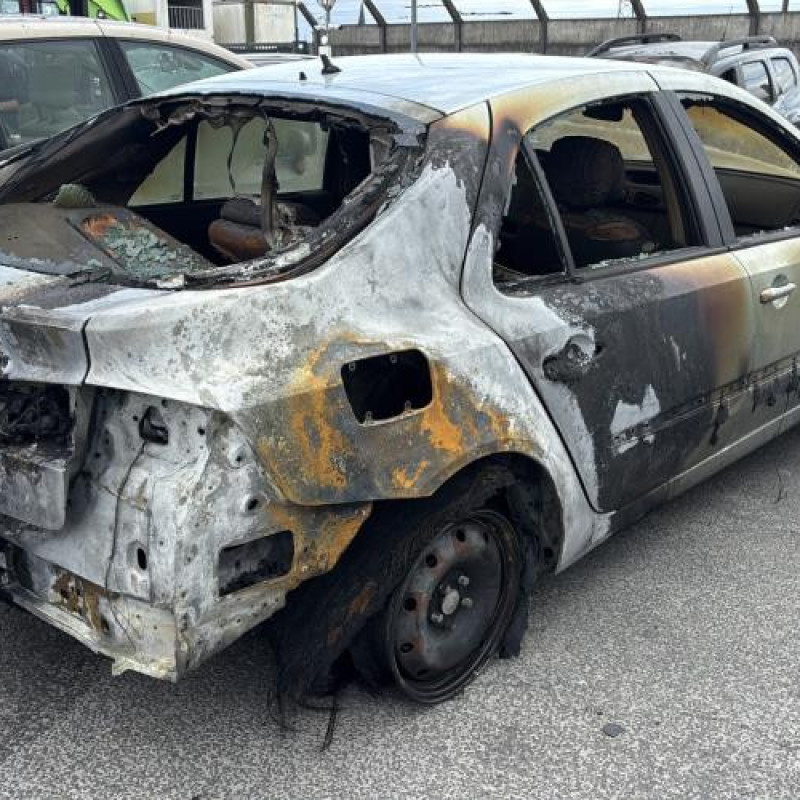 Pedale d'accelerateur RENAULT LAGUNA 2 Photo n°8