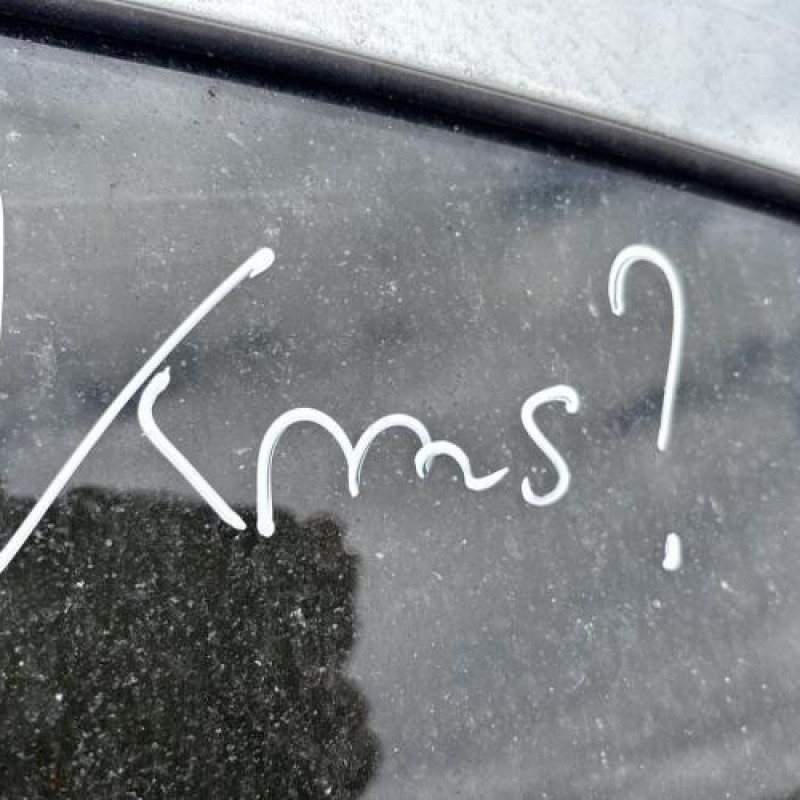 Pedale d'accelerateur RENAULT LAGUNA 2 Photo n°15