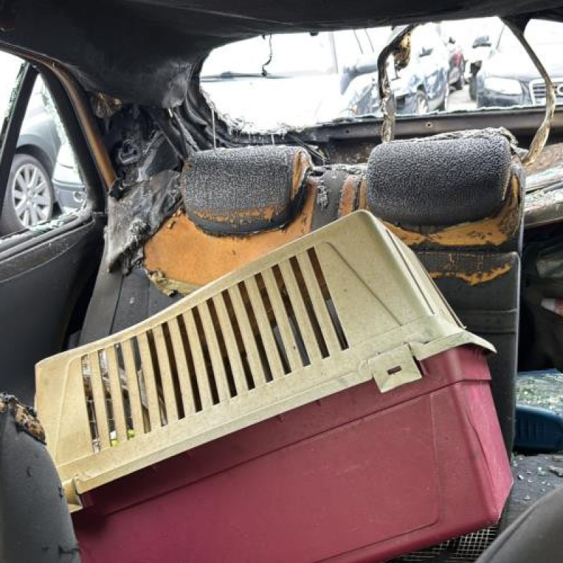 Pedale d'accelerateur RENAULT LAGUNA 2 Photo n°19