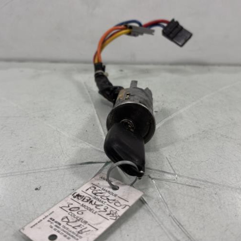 Neiman PEUGEOT 306 Photo n°1