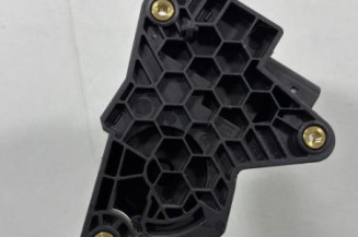 Pedale d'accelerateur RENAULT LAGUNA 3