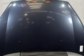 Capot FORD GALAXY 2 Photo n°1