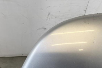 Capot VOLKSWAGEN NEW BEETLE 1