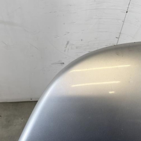 Capot VOLKSWAGEN NEW BEETLE 1