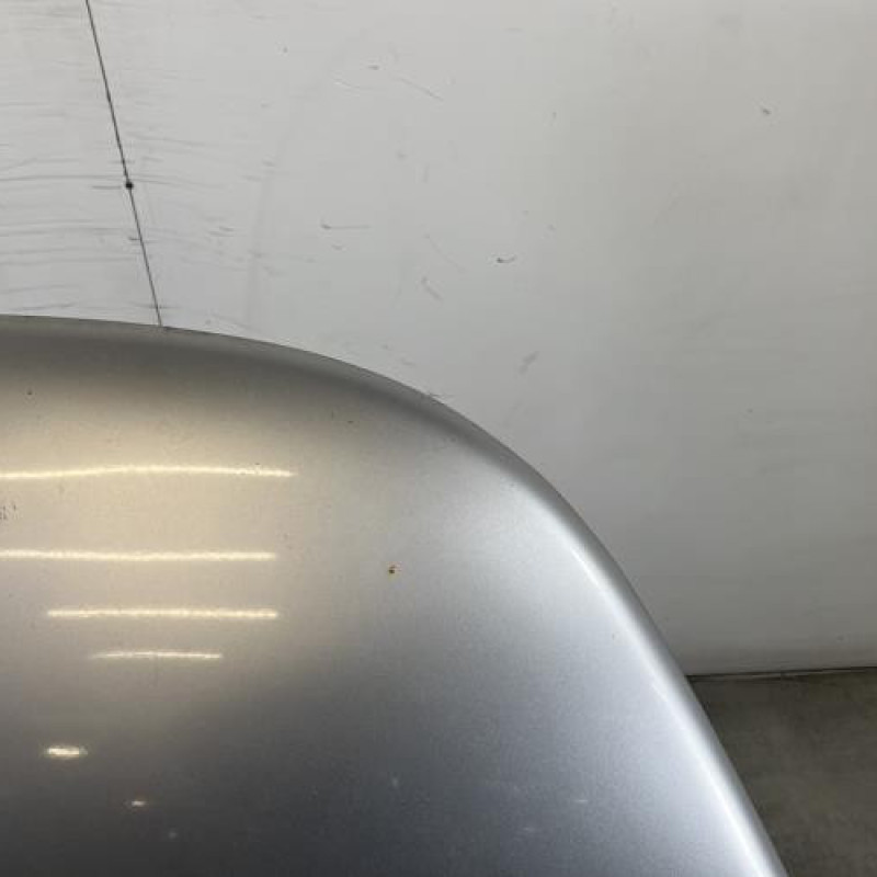 Capot VOLKSWAGEN NEW BEETLE 1 Photo n°3