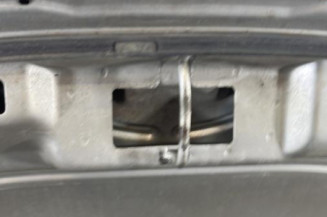 Capot VOLKSWAGEN NEW BEETLE 1