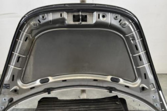 Capot VOLKSWAGEN NEW BEETLE 1