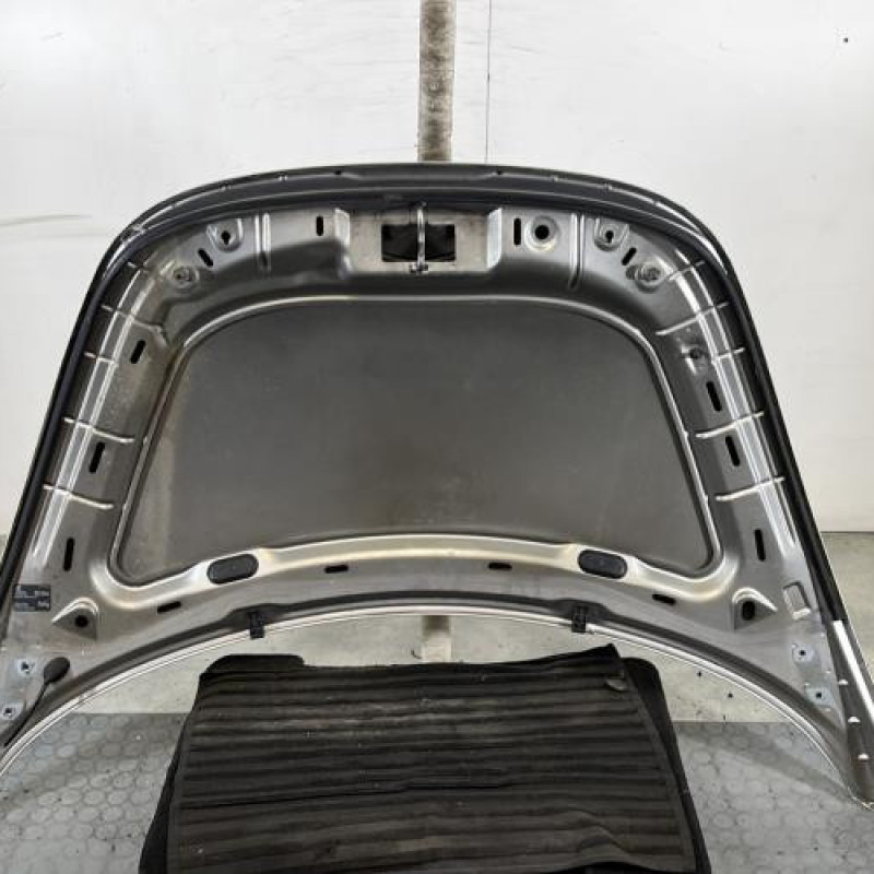 Capot VOLKSWAGEN NEW BEETLE 1 Photo n°9