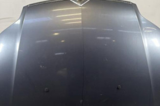 Capot CITROEN C4 1 Photo n°1