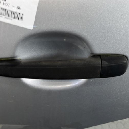 Porte arriere gauche CITROEN C3 1