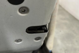 Porte arriere gauche CITROEN C3 1