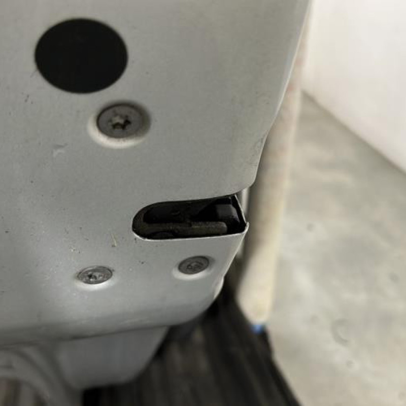 Porte arriere gauche CITROEN C3 1 Photo n°3