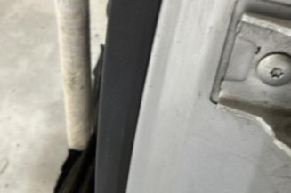 Porte arriere gauche CITROEN C3 1