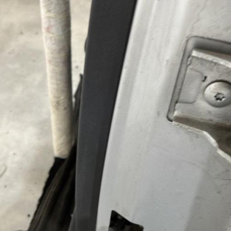 Porte arriere gauche CITROEN C3 1 Photo n°4