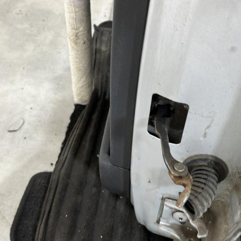 Porte arriere gauche CITROEN C3 1 Photo n°5