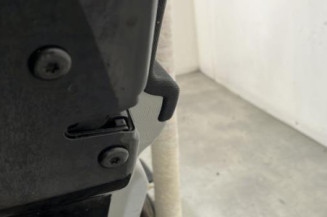 Porte arriere gauche SKODA FABIA 2