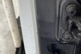 Porte arriere gauche SKODA FABIA 2