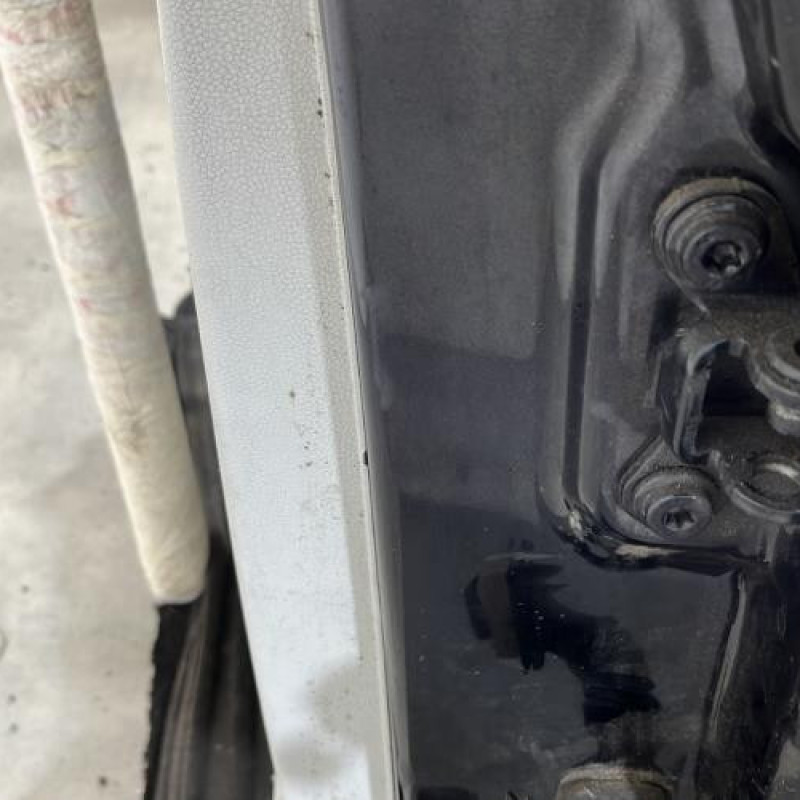 Porte arriere gauche SKODA FABIA 2 Photo n°4