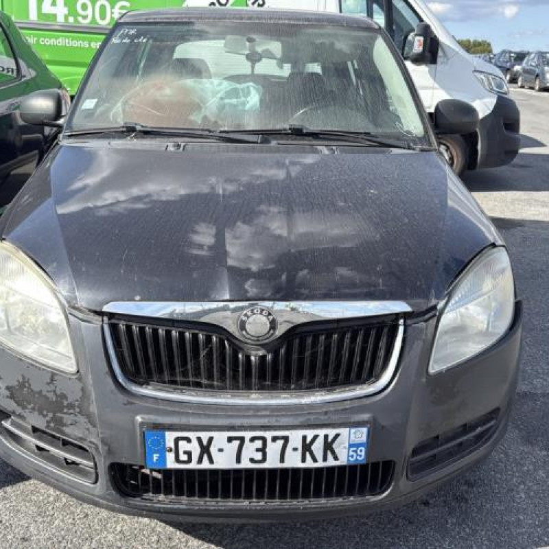 Porte arriere gauche SKODA FABIA 2 Photo n°14